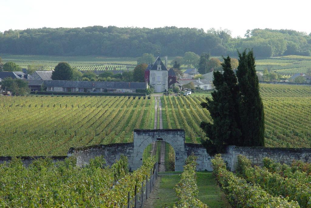 Gite Chateau De Chaintres Dampierre-sur-Loire Zimmer foto